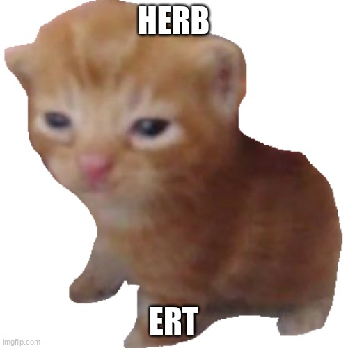 Herbert | HERB ERT | image tagged in herbert | made w/ Imgflip meme maker