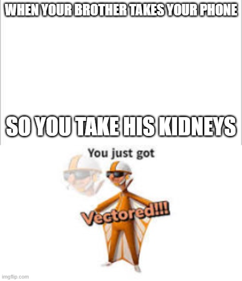 WHEN YOUR BROTHER TAKES YOUR PHONE; SO YOU TAKE HIS KIDNEYS | image tagged in white background | made w/ Imgflip meme maker