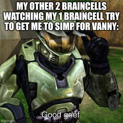 I'm not. I won't. | MY OTHER 2 BRAINCELLS WATCHING MY 1 BRAINCELL TRY TO GET ME TO SIMP FOR VANNY: | image tagged in halo master chief good grief | made w/ Imgflip meme maker