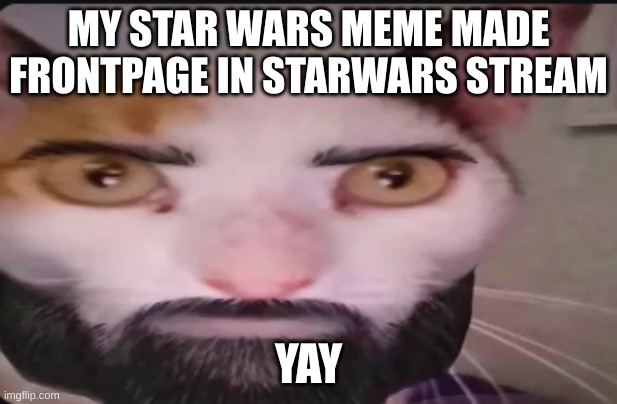 Went to homepage and it's the first thing I see | MY STAR WARS MEME MADE FRONTPAGE IN STARWARS STREAM; YAY | image tagged in gigacat | made w/ Imgflip meme maker