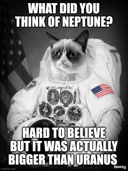 Grumpy Spacecat | WHAT DID YOU THINK OF NEPTUNE? HARD TO BELIEVE BUT IT WAS ACTUALLY BIGGER THAN URANUS | image tagged in grumpy spacecat | made w/ Imgflip meme maker