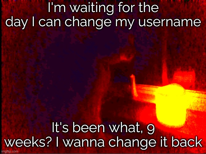 I've honored lolbit_the_better_funtime_foxy long enough dang it | I'm waiting for the day I can change my username; It's been what, 9 weeks? I wanna change it back | image tagged in cat with candle | made w/ Imgflip meme maker