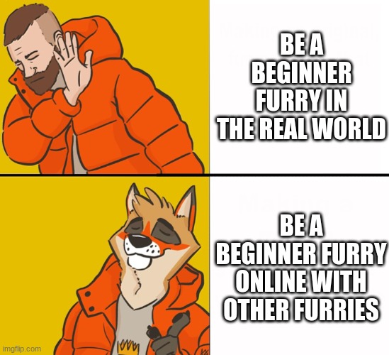 Furry Drake | BE A BEGINNER FURRY IN THE REAL WORLD; BE A BEGINNER FURRY ONLINE WITH OTHER FURRIES | image tagged in furry drake,furry memes | made w/ Imgflip meme maker
