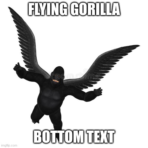 Flying Gorilla | FLYING GORILLA; BOTTOM TEXT | image tagged in flying gorilla | made w/ Imgflip meme maker