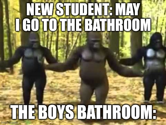 Macacos dançantes | NEW STUDENT: MAY I GO TO THE BATHROOM; THE BOYS BATHROOM: | image tagged in macacos dan antes | made w/ Imgflip meme maker