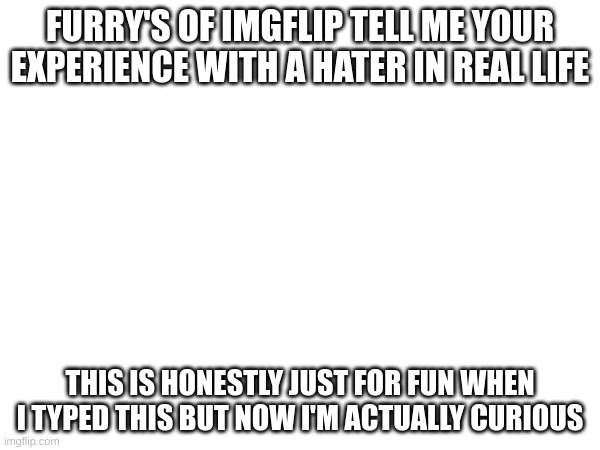 FURRY'S OF IMGFLIP TELL ME YOUR EXPERIENCE WITH A HATER IN REAL LIFE; THIS IS HONESTLY JUST FOR FUN WHEN I TYPED THIS BUT NOW I'M ACTUALLY CURIOUS | made w/ Imgflip meme maker