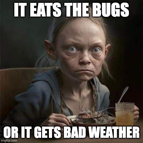 Eat the Bugs or Bad Weather | IT EATS THE BUGS; OR IT GETS BAD WEATHER | image tagged in greta thunberg,bugs,climate change | made w/ Imgflip meme maker