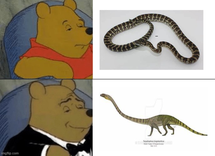 snake with legs | snake | image tagged in memes,tuxedo winnie the pooh | made w/ Imgflip meme maker