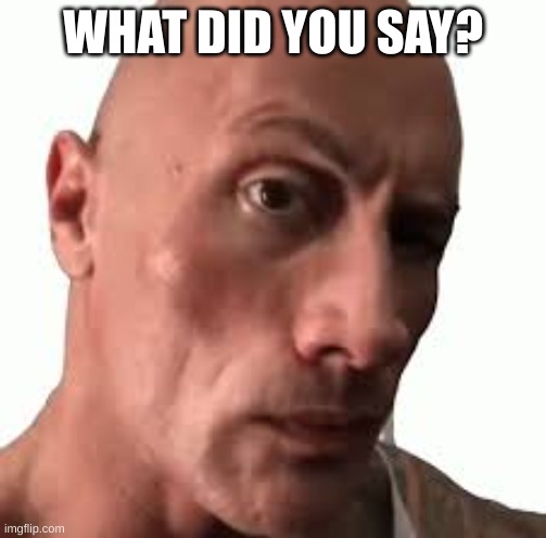 rock | WHAT DID YOU SAY? | image tagged in rock | made w/ Imgflip meme maker