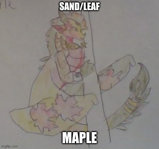 my friend made this | SAND/LEAF; MAPLE | image tagged in wof | made w/ Imgflip meme maker