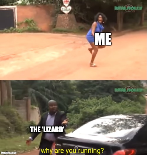 Why are you running | ME THE 'LIZARD' why are you running? | image tagged in why are you running | made w/ Imgflip meme maker