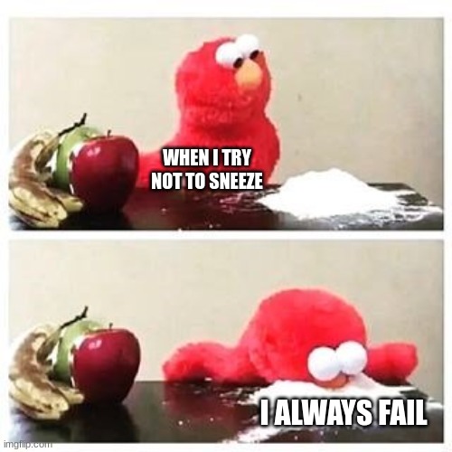 elmo cocaine | WHEN I TRY NOT TO SNEEZE; I ALWAYS FAIL | image tagged in elmo cocaine | made w/ Imgflip meme maker
