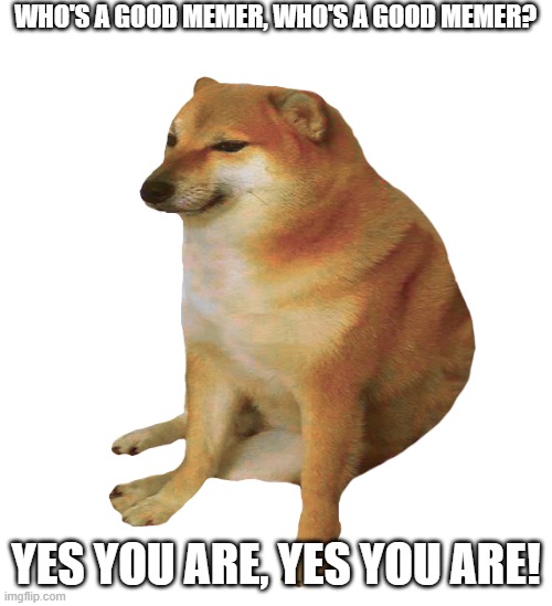 I realy like JustaCheemsDoge | WHO'S A GOOD MEMER, WHO'S A GOOD MEMER? YES YOU ARE, YES YOU ARE! | image tagged in cheems | made w/ Imgflip meme maker