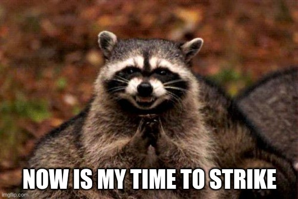 Evil Plotting Raccoon Meme | NOW IS MY TIME TO STRIKE | image tagged in memes,evil plotting raccoon | made w/ Imgflip meme maker