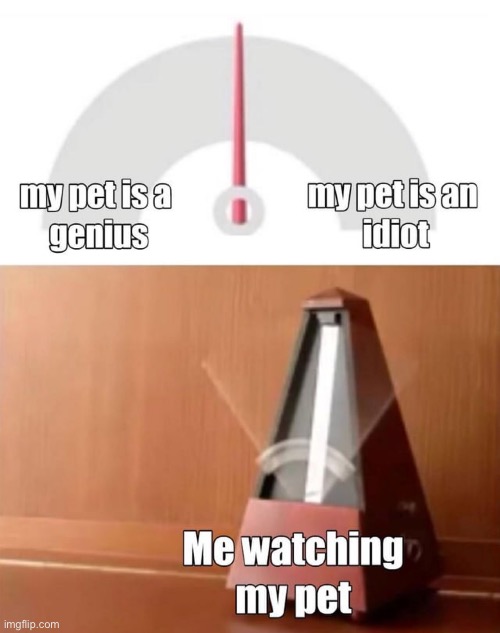 image tagged in memes,funny,repost | made w/ Imgflip meme maker