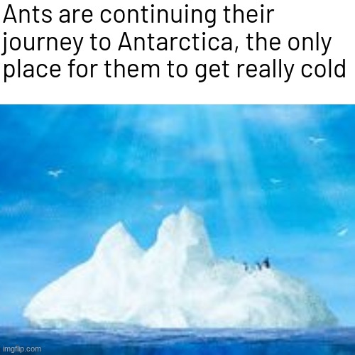 Ants are continuing their journey to Antarctica, the only place for them to get really cold | image tagged in memes,funny,eyeroll | made w/ Imgflip meme maker