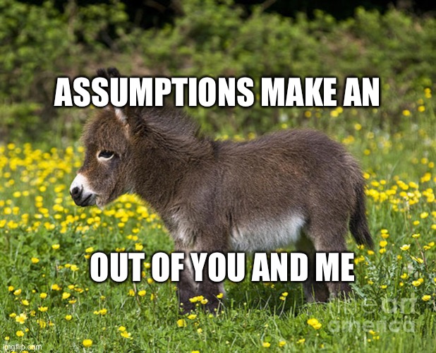 Donkey | ASSUMPTIONS MAKE AN; OUT OF YOU AND ME | image tagged in donkey | made w/ Imgflip meme maker