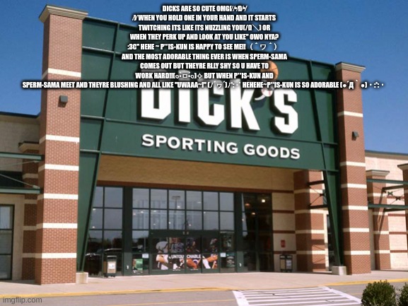 Dicks Sporting Goods Store Imgflip