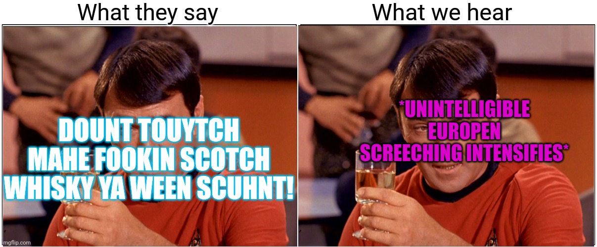 Blank Comic Panel 2x1 Meme | What they say What we hear DOUNT TOUYTCH MAHE FOOKIN SCOTCH WHISKY YA WEEN SCUHNT! *UNINTELLIGIBLE EUROPEN SCREECHING INTENSIFIES* | image tagged in memes,blank comic panel 2x1 | made w/ Imgflip meme maker
