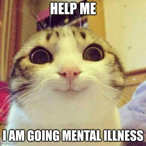 my brain huuurrrrtttssss | HELP ME; I AM GOING MENTAL ILLNESS | image tagged in memes,smiling cat | made w/ Imgflip meme maker