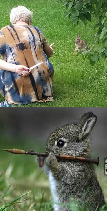 Grandma hides knife bunny retaliates Blank Meme Template