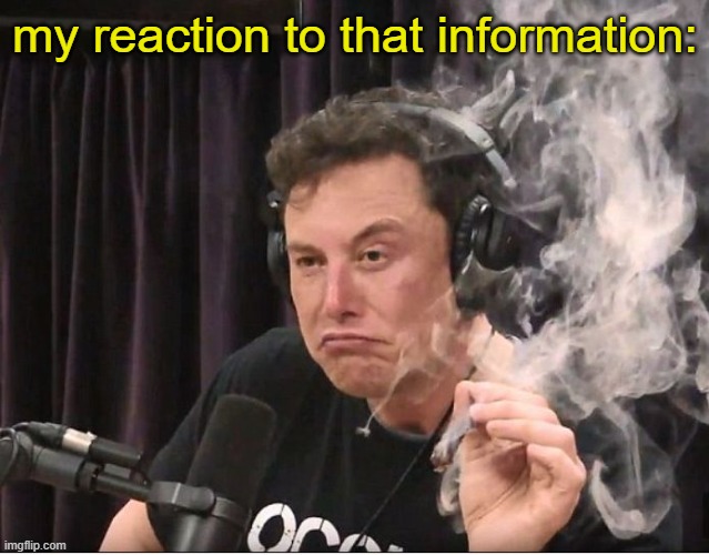 silly response | my reaction to that information: | image tagged in elon musk smoking a joint | made w/ Imgflip meme maker