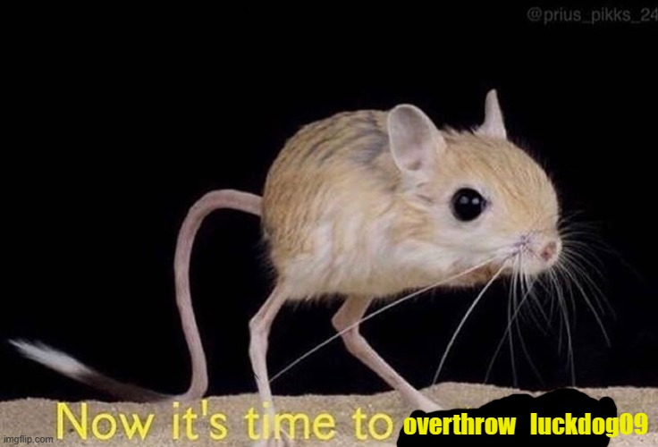 Now it’s time to get funky | overthrow   luckdog09 | image tagged in now it s time to get funky | made w/ Imgflip meme maker
