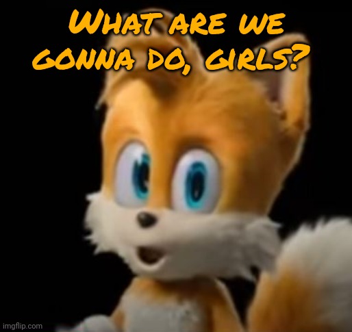 POG Tails the Fox | What are we gonna do, girls? | image tagged in pog tails the fox | made w/ Imgflip meme maker