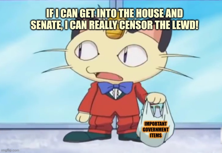 IMPORTANT GOVERNMENT ITEMS IF I CAN GET INTO THE HOUSE AND SENATE, I CAN REALLY CENSOR THE LEWD! | made w/ Imgflip meme maker