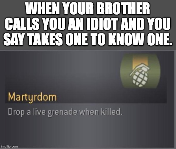 lol happened to me recently | WHEN YOUR BROTHER CALLS YOU AN IDIOT AND YOU SAY TAKES ONE TO KNOW ONE. | image tagged in martyrdom | made w/ Imgflip meme maker