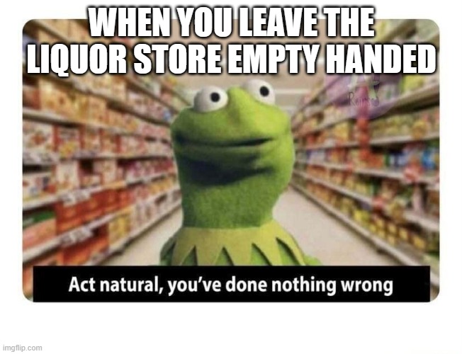 Kermit in the Liquor Store | WHEN YOU LEAVE THE LIQUOR STORE EMPTY HANDED | image tagged in kermit store nothing wrong,liquor store | made w/ Imgflip meme maker