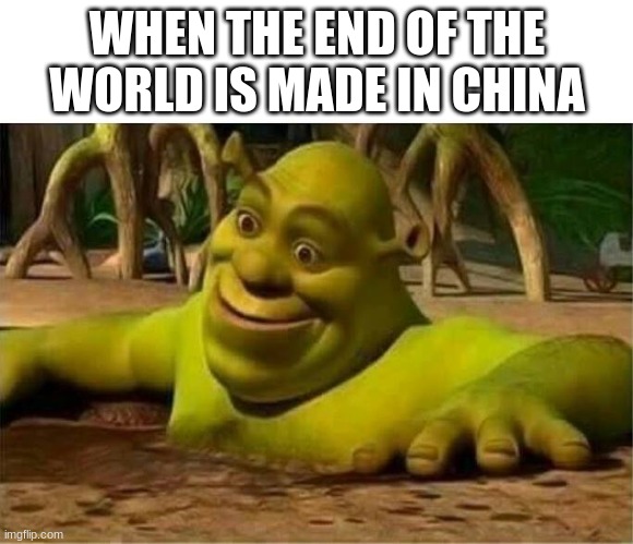 Shrek | WHEN THE END OF THE WORLD IS MADE IN CHINA | image tagged in shrek,made in china,memes | made w/ Imgflip meme maker