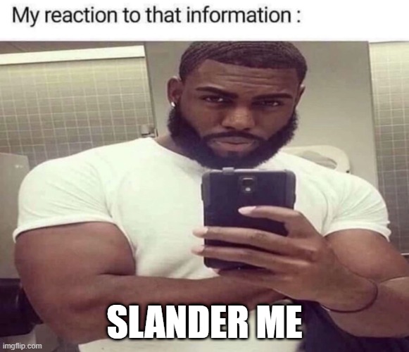 im bored | SLANDER ME | image tagged in my reaction to that information | made w/ Imgflip meme maker