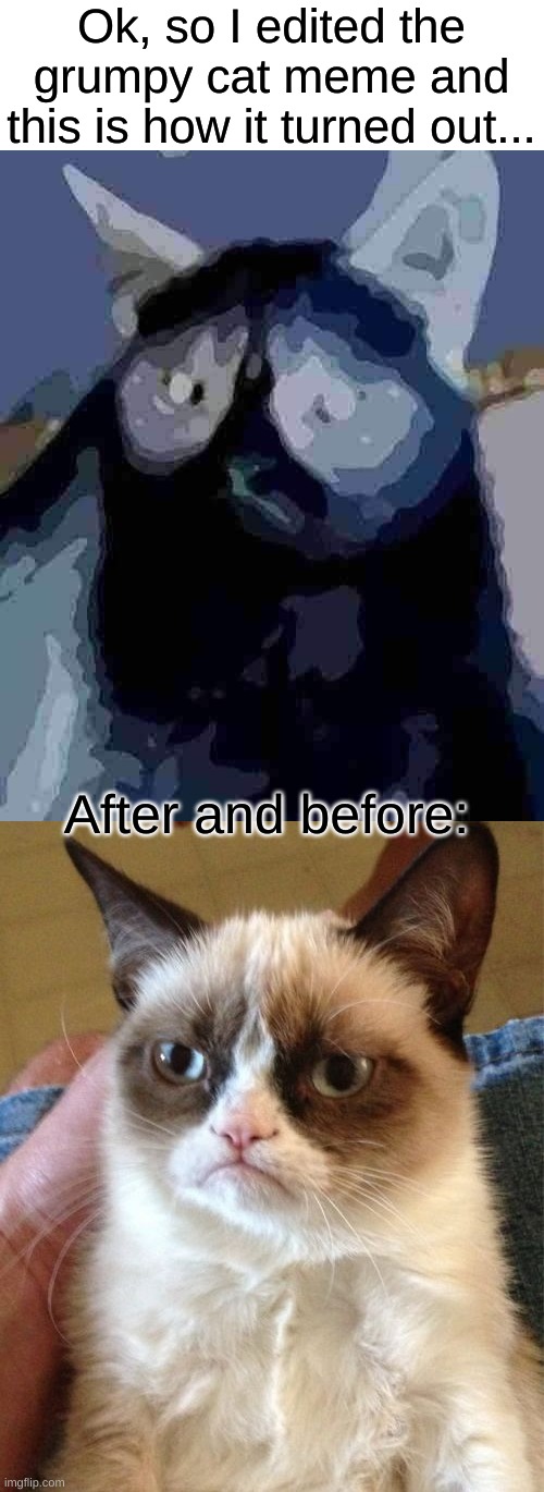 Ok, why does this look like art? | Ok, so I edited the grumpy cat meme and this is how it turned out... After and before: | image tagged in memes,grumpy cat,side effects,van gogh,art | made w/ Imgflip meme maker