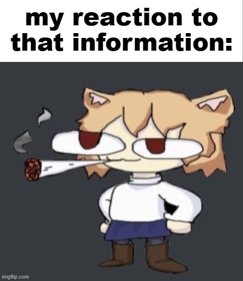 e | my reaction to that information: | image tagged in white bar,neco arc smoke | made w/ Imgflip meme maker