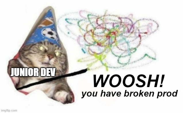 junior dev breaks something in production | JUNIOR DEV; WOOSH! you have broken prod | image tagged in woosh cat,software,development | made w/ Imgflip meme maker