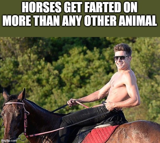 Zac Efron Farting On Horse | HORSES GET FARTED ON MORE THAN ANY OTHER ANIMAL | image tagged in zac efron,shirtless,farting,horse,funny,memes | made w/ Imgflip meme maker
