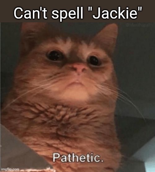 Pathetic Cat | Can't spell "Jackie" | image tagged in pathetic cat | made w/ Imgflip meme maker