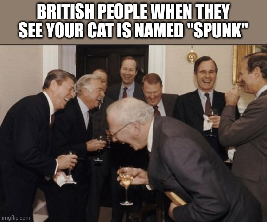 Laughing Men In Suits Meme | BRITISH PEOPLE WHEN THEY SEE YOUR CAT IS NAMED "SPUNK" | image tagged in memes,laughing men in suits | made w/ Imgflip meme maker