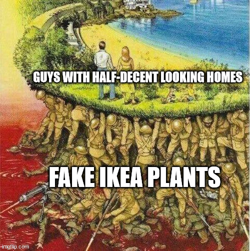 Soldiers hold up society | GUYS WITH HALF-DECENT LOOKING HOMES; FAKE IKEA PLANTS | image tagged in soldiers hold up society | made w/ Imgflip meme maker