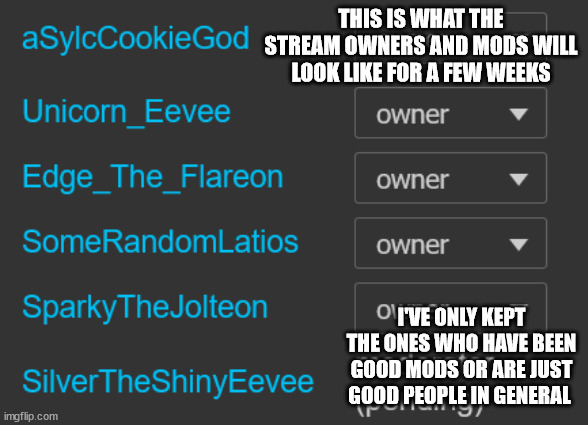 (i still have owner because i created the stream) | THIS IS WHAT THE STREAM OWNERS AND MODS WILL LOOK LIKE FOR A FEW WEEKS; I'VE ONLY KEPT THE ONES WHO HAVE BEEN GOOD MODS OR ARE JUST GOOD PEOPLE IN GENERAL | made w/ Imgflip meme maker