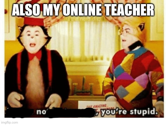 You're not just wrong your stupid | ALSO MY ONLINE TEACHER | image tagged in you're not just wrong your stupid | made w/ Imgflip meme maker