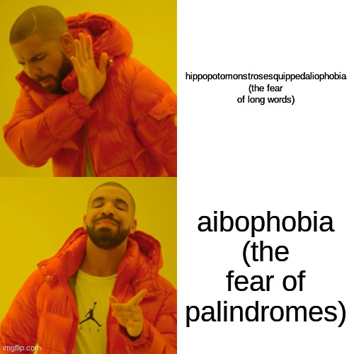 who knew? | hippopotomonstrosesquippedaliophobia (the fear of long words); aibophobia (the fear of palindromes) | image tagged in memes,drake hotline bling,phobia | made w/ Imgflip meme maker