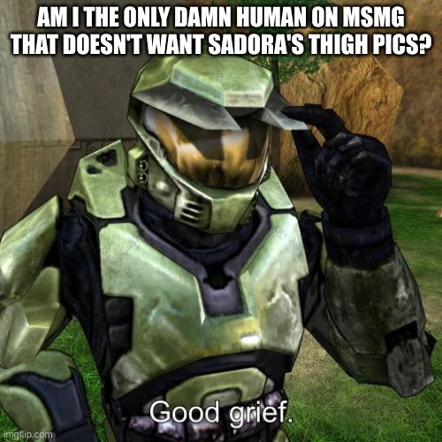 You said it Master chief, good grief. | AM I THE ONLY DAMN HUMAN ON MSMG THAT DOESN'T WANT SADORA'S THIGH PICS? | image tagged in halo master chief good grief | made w/ Imgflip meme maker