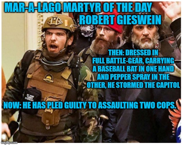 Another "Normal Tourist," takes a "Plea Deal." | MAR-A-LAGO MARTYR OF THE DAY             
                            ROBERT GIESWEIN; THEN: DRESSED IN FULL BATTLE-GEAR, CARRYING A BASEBALL BAT IN ONE HAND AND PEPPER SPRAY IN THE OTHER, HE STORMED THE CAPITOL; NOW: HE HAS PLED GUILTY TO ASSAULTING TWO COPS. | image tagged in politics | made w/ Imgflip meme maker