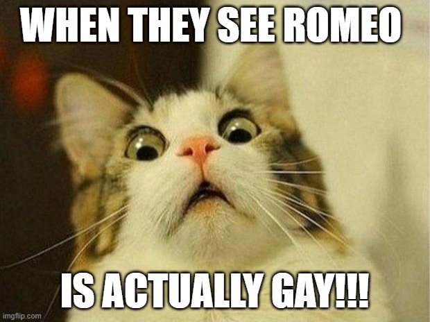 Scared Cat | WHEN THEY SEE ROMEO; IS ACTUALLY GAY!!! | image tagged in memes,scared cat | made w/ Imgflip meme maker