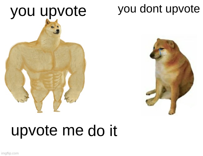 upvote me | you upvote; you dont upvote; upvote me; do it | image tagged in memes,buff doge vs cheems | made w/ Imgflip meme maker