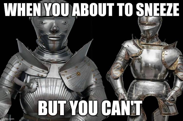 Knight | WHEN YOU ABOUT TO SNEEZE; BUT YOU CAN'T | image tagged in sneezing | made w/ Imgflip meme maker