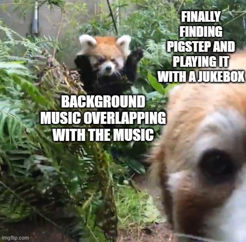 Why does this HAPPEN DX | FINALLY FINDING PIGSTEP AND PLAYING IT WITH A JUKEBOX; BACKGROUND MUSIC OVERLAPPING WITH THE MUSIC | image tagged in red panda pounce | made w/ Imgflip meme maker