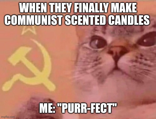 Communist scented candles | WHEN THEY FINALLY MAKE COMMUNIST SCENTED CANDLES; ME: "PURR-FECT" | image tagged in communist cat | made w/ Imgflip meme maker